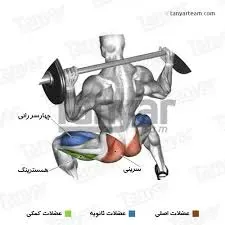 دستگاه بدنسازی اسکات