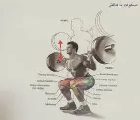 دستگاه بدنسازی اسکات