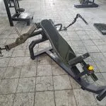 عضلات سینه